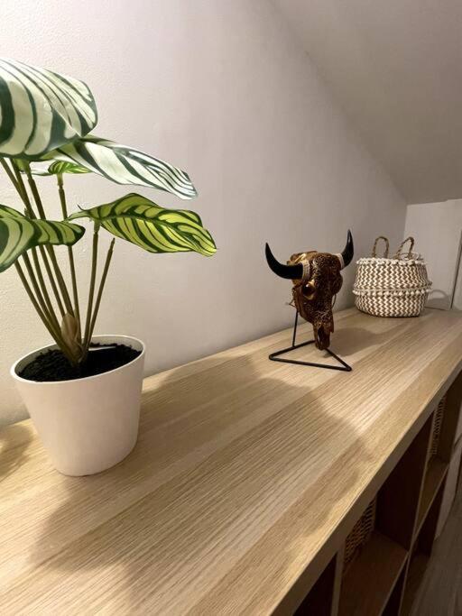 מאלגה Magnifique Duplex Avec Terrasse Proche De La Plage מראה חיצוני תמונה